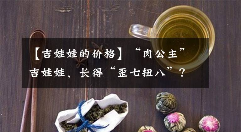 【吉娃娃的价格】“肉公主”吉娃娃，长得“歪七扭八”？不能硬掰，3个窍门纠正它