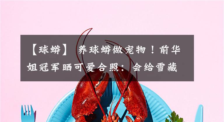 【球蟒】 养球蟒做宠物！前华姐冠军晒可爱合照：会给雪藏老鼠吃