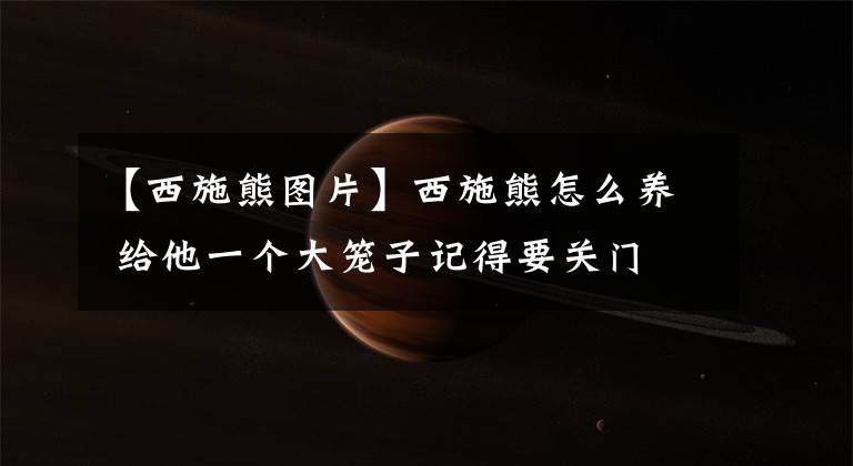 【西施熊图片】西施熊怎么养 给他一个大笼子记得要关门