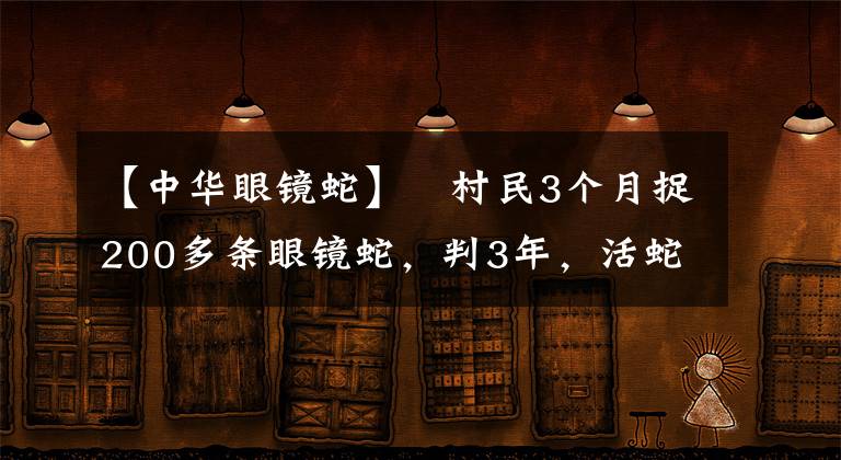 【中华眼镜蛇】​村民3个月捉200多条眼镜蛇，判3年，活蛇放生！抓毒蛇该支持？