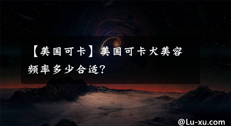 【美国可卡】美国可卡犬美容频率多少合适？