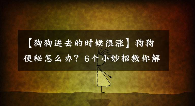 【狗狗进去的时候很涨】狗狗便秘怎么办?6个小妙招教你解决