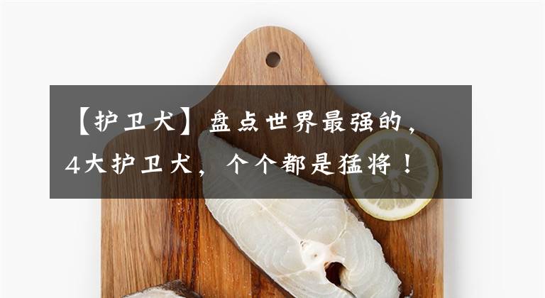 【护卫犬】盘点世界最强的,4大护卫犬,个个都是猛将!