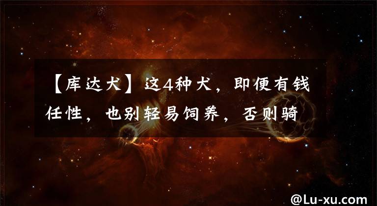 【库达犬】这4种犬，即便有钱任性，也别轻易饲养，否则骑虎难下