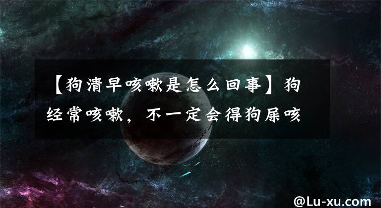【狗清早咳嗽是怎么回事】狗经常咳嗽,不一定会得狗屎咳嗽,也可能是这7个常见的原因