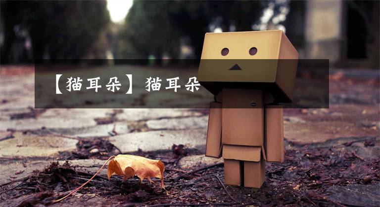 【猫耳朵】猫耳朵