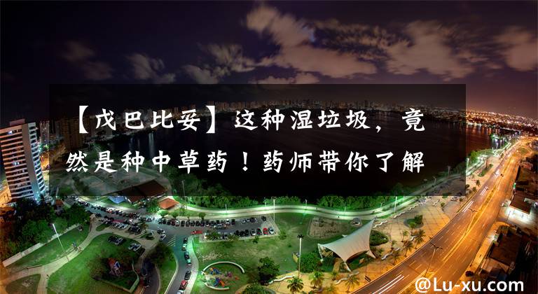 【戊巴比妥】这种湿垃圾，竟然是种中草药！药师带你了解身边的治病良药｜周到中医说