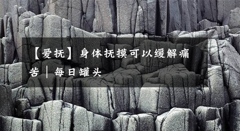 【爱抚】身体抚摸可以缓解痛苦｜每日罐头