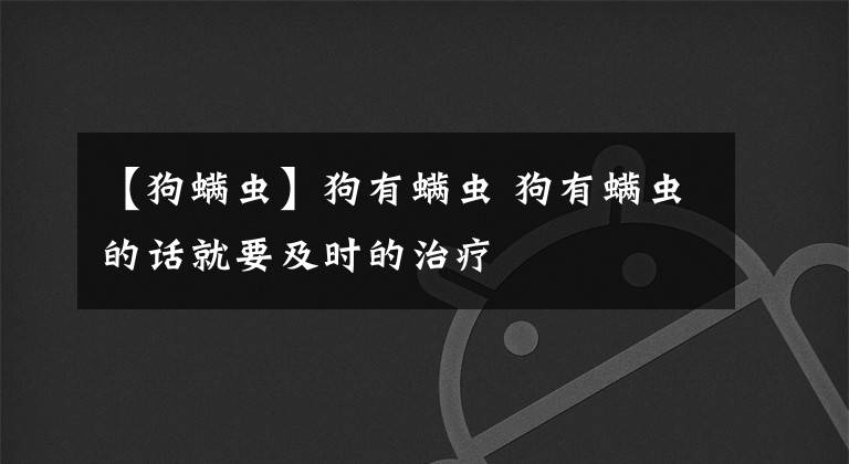 【狗螨虫】狗有螨虫 狗有螨虫的话就要及时的治疗