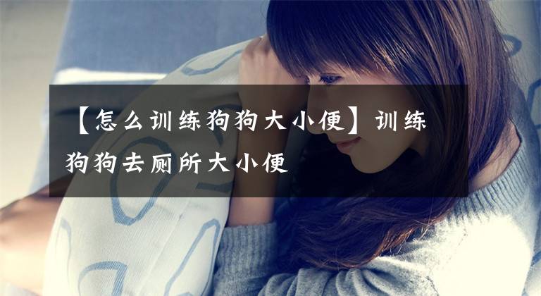 【怎么训练狗狗大小便】训练狗狗去厕所大小便