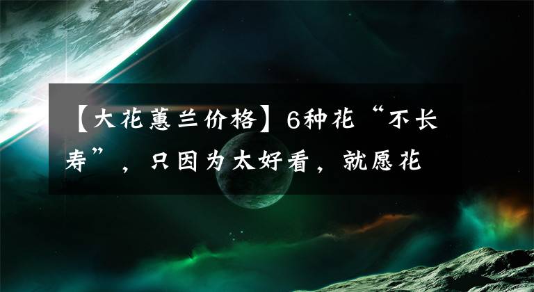 【大花蕙兰价格】6种花“不长寿”,只因为太好看,就愿花钱买,年年扔不停
