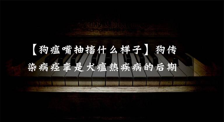 【狗瘟嘴抽搐什么样子】狗传染病痉挛是犬瘟热疾病的后期征兆