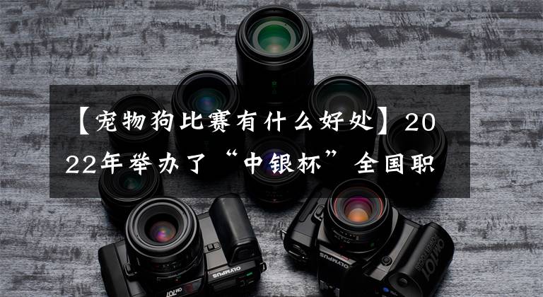 【宠物狗比赛有什么好处】2022年举办了“中银杯”全国职业大学技术比赛(高职队)园艺项目。
