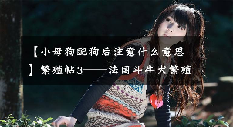 【小母狗配狗后注意什么意思】繁殖帖3——法国斗牛犬繁殖的部分生产资料(干货)