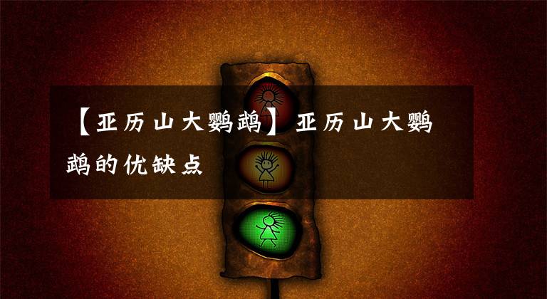 【亚历山大鹦鹉】亚历山大鹦鹉的优缺点