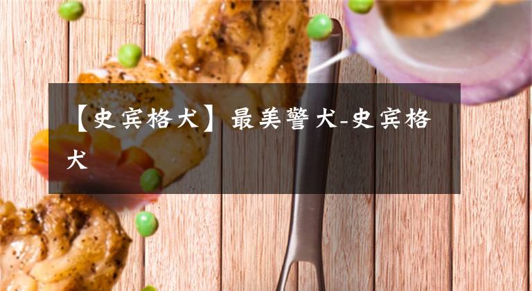 【史宾格犬】最美警犬-史宾格犬