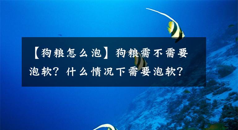 【狗粮怎么泡】狗粮需不需要泡软？什么情况下需要泡软？怎么泡？