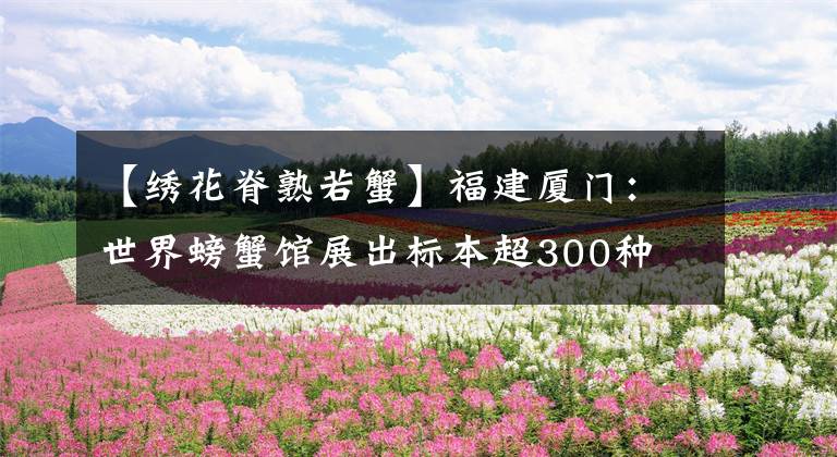 【绣花脊熟若蟹】福建厦门：世界螃蟹馆展出标本超300种 稀有蟹三年捕一只