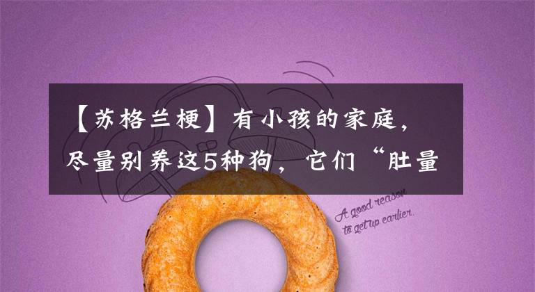 【苏格兰梗】有小孩的家庭，尽量别养这5种狗，它们“肚量”小不容人