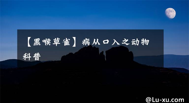 【黑喉草雀】病从口入之动物科普