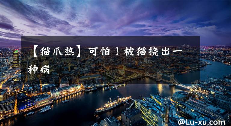 【猫爪热】可怕！被猫挠出一种病
