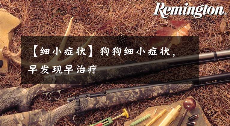 【细小症状】狗狗细小症状,早发现早治疗