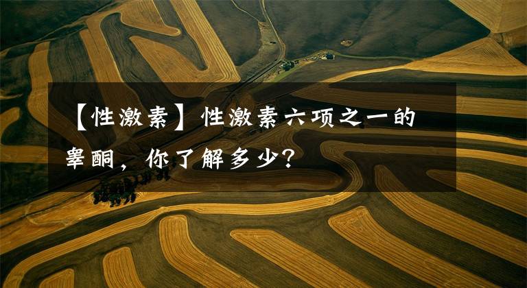 【性激素】性激素六项之一的睾酮，你了解多少？