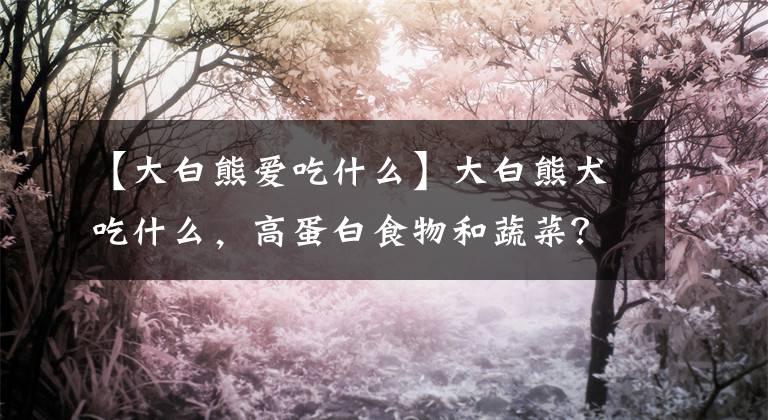 【大白熊爱吃什么】大白熊犬吃什么，高蛋白食物和蔬菜？
