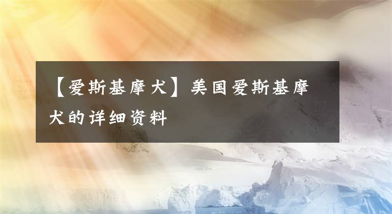 【爱斯基摩犬】美国爱斯基摩犬的详细资料