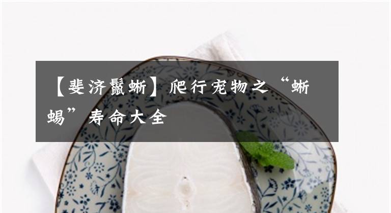 【斐济鬣蜥】爬行宠物之“蜥蜴”寿命大全