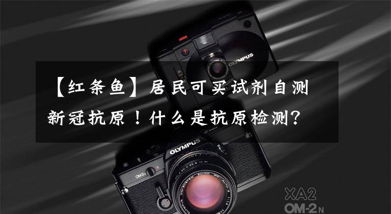【红条鱼】居民可买试剂自测新冠抗原！什么是抗原检测？为何要测？张文宏详解