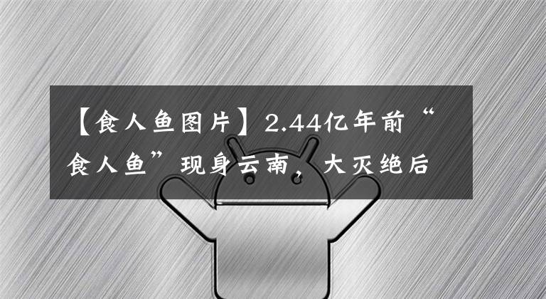 【食人鱼图片】2.44亿年前“食人鱼”现身云南,大灭绝后的产物,是陨石带来的?
