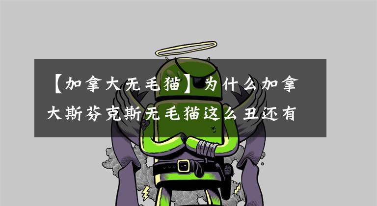 【加拿大无毛猫】为什么加拿大斯芬克斯无毛猫这么丑还有那么多人养？全因真香定律