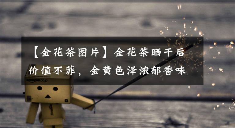 【金花茶图片】金花茶晒干后价值不菲，金黄色泽浓郁香味，可谓是“植物大熊猫”