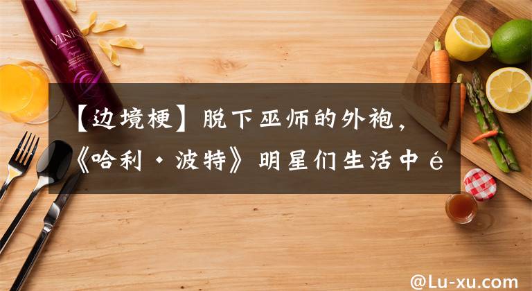 【边境梗】脱下巫师的外袍,《哈利·波特》明星们生活中都养的什么宠物呢?