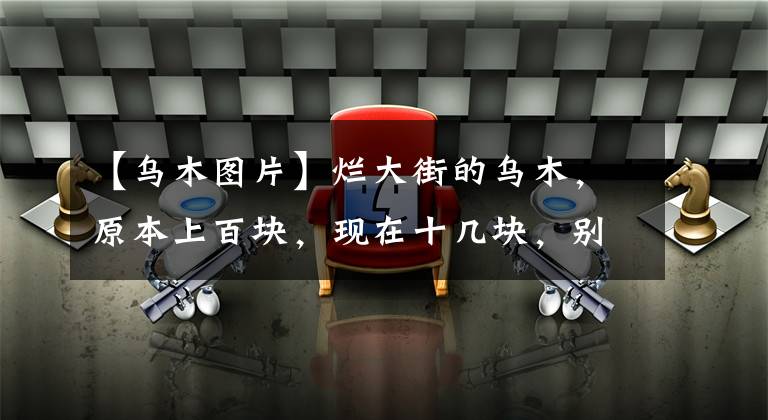 【乌木图片】烂大街的乌木，原本上百块，现在十几块，别再花高价买乌木了