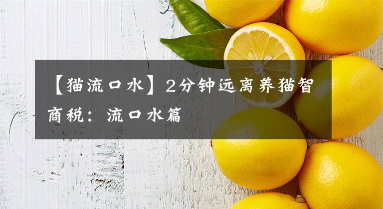 【猫流口水】2分钟远离养猫智商税:流口水篇