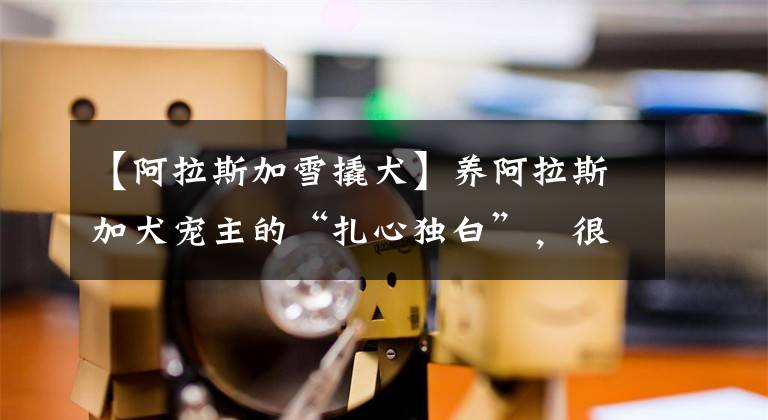 【阿拉斯加雪撬犬】养阿拉斯加犬宠主的“扎心独白”，很累，但无路可退