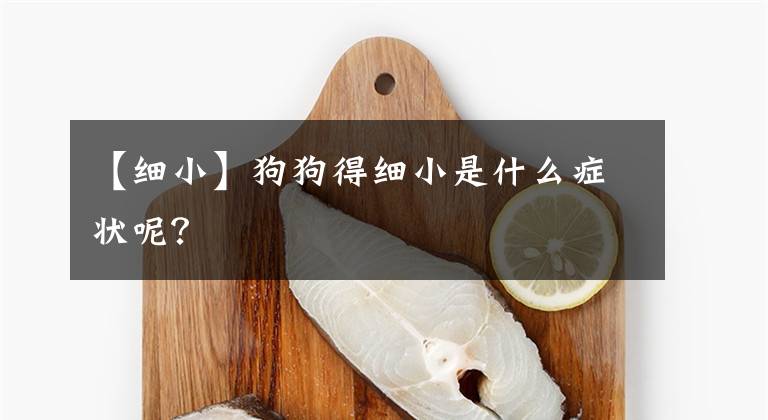 【细小】狗狗得细小是什么症状呢？