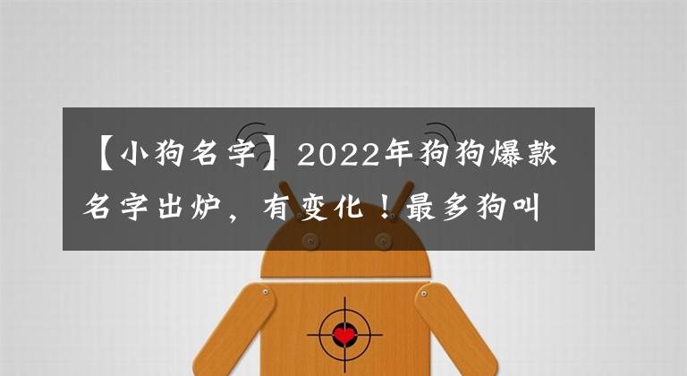 【小狗名字】2022年狗狗爆款名字出炉,有变化!最多狗叫这些名字
