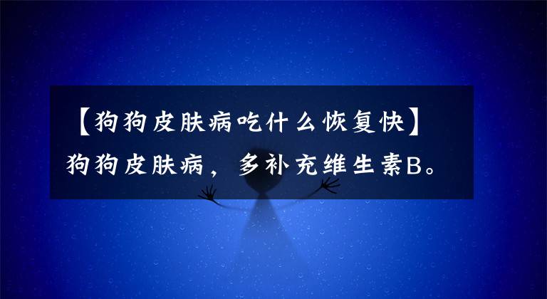 【狗狗皮肤病吃什么恢复快】狗狗皮肤病，多补充维生素B。