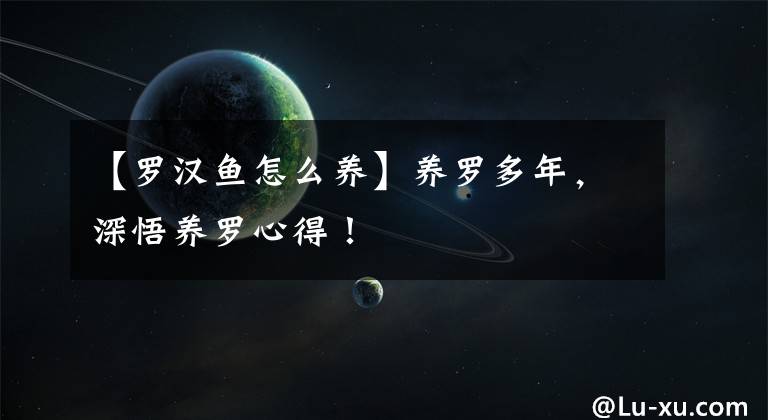 【罗汉鱼怎么养】养罗多年，深悟养罗心得！