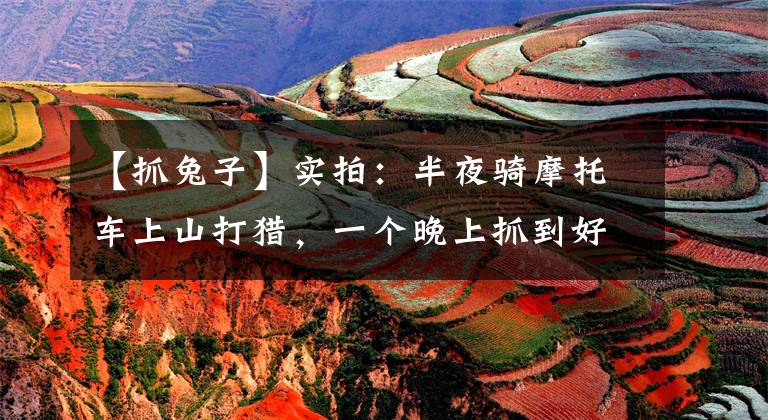 【抓兔子】实拍:半夜骑摩托车上山打猎,一个晚上抓到好多野兔!