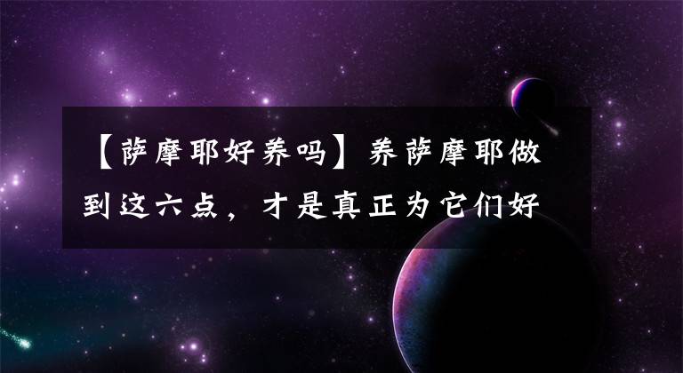【萨摩耶好养吗】养萨摩耶做到这六点，才是真正为它们好