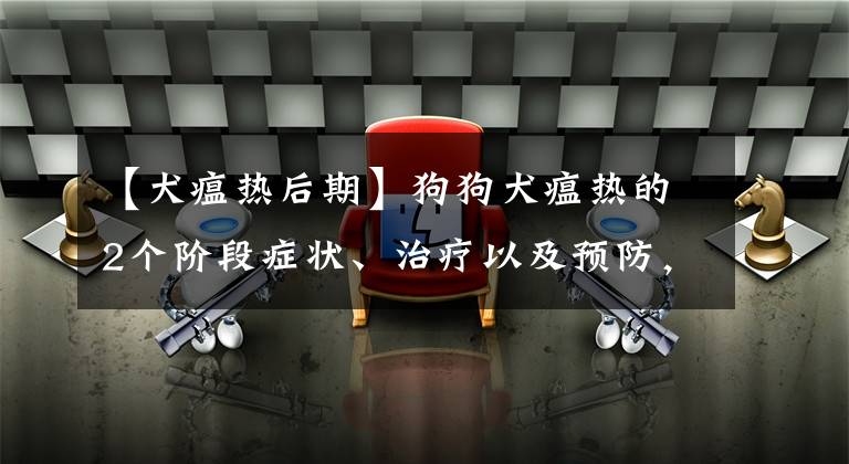 【犬瘟热后期】狗狗犬瘟热的2个阶段症状、治疗以及预防，你了解多少呢？