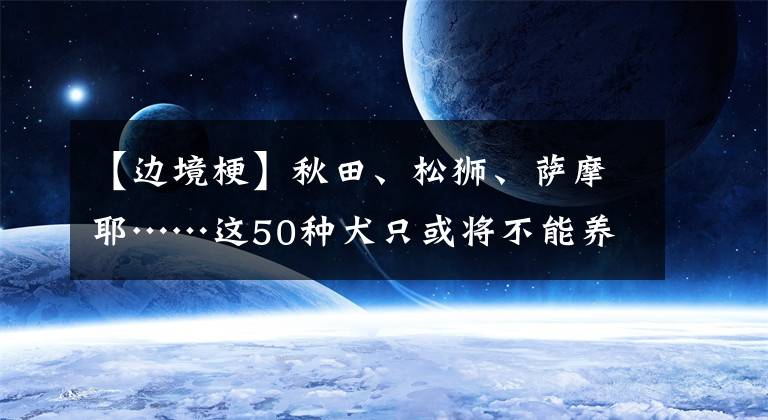 【边境梗】秋田、松狮、萨摩耶……这50种犬只或将不能养!看看有没有你家狗狗?