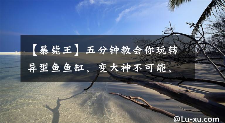 【暴毙王】五分钟教会你玩转异型鱼鱼缸，变大神不可能，入门还是可以的