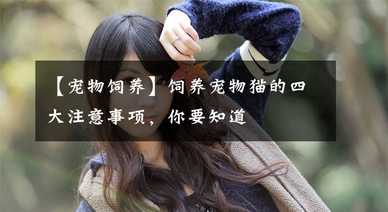 【宠物饲养】饲养宠物猫的四大注意事项，你要知道