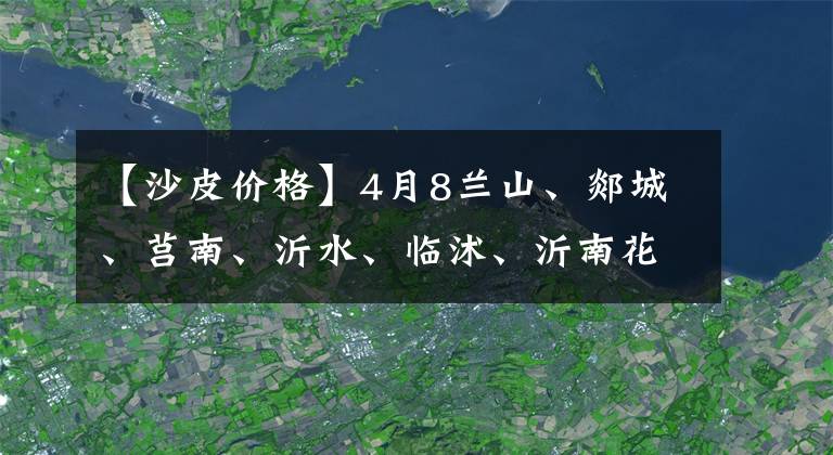 【沙皮价格】4月8兰山、郯城、莒南、沂水、临沭、沂南花生海花统米3.5左右