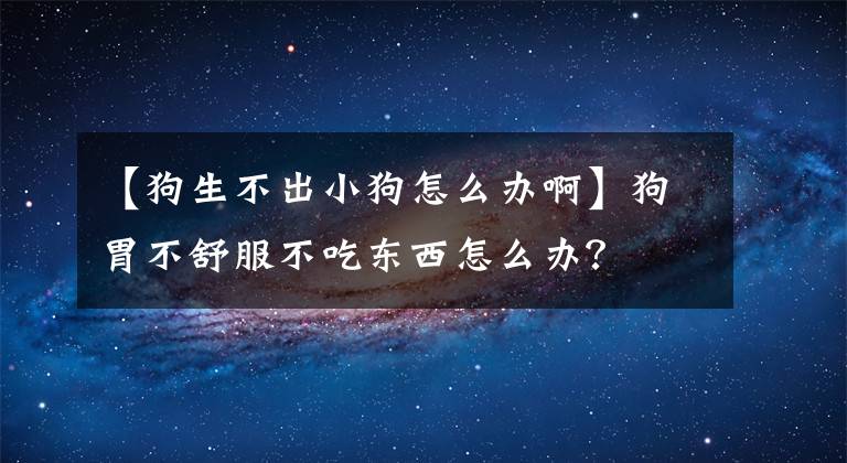 【狗生不出小狗怎么办啊】狗胃不舒服不吃东西怎么办?